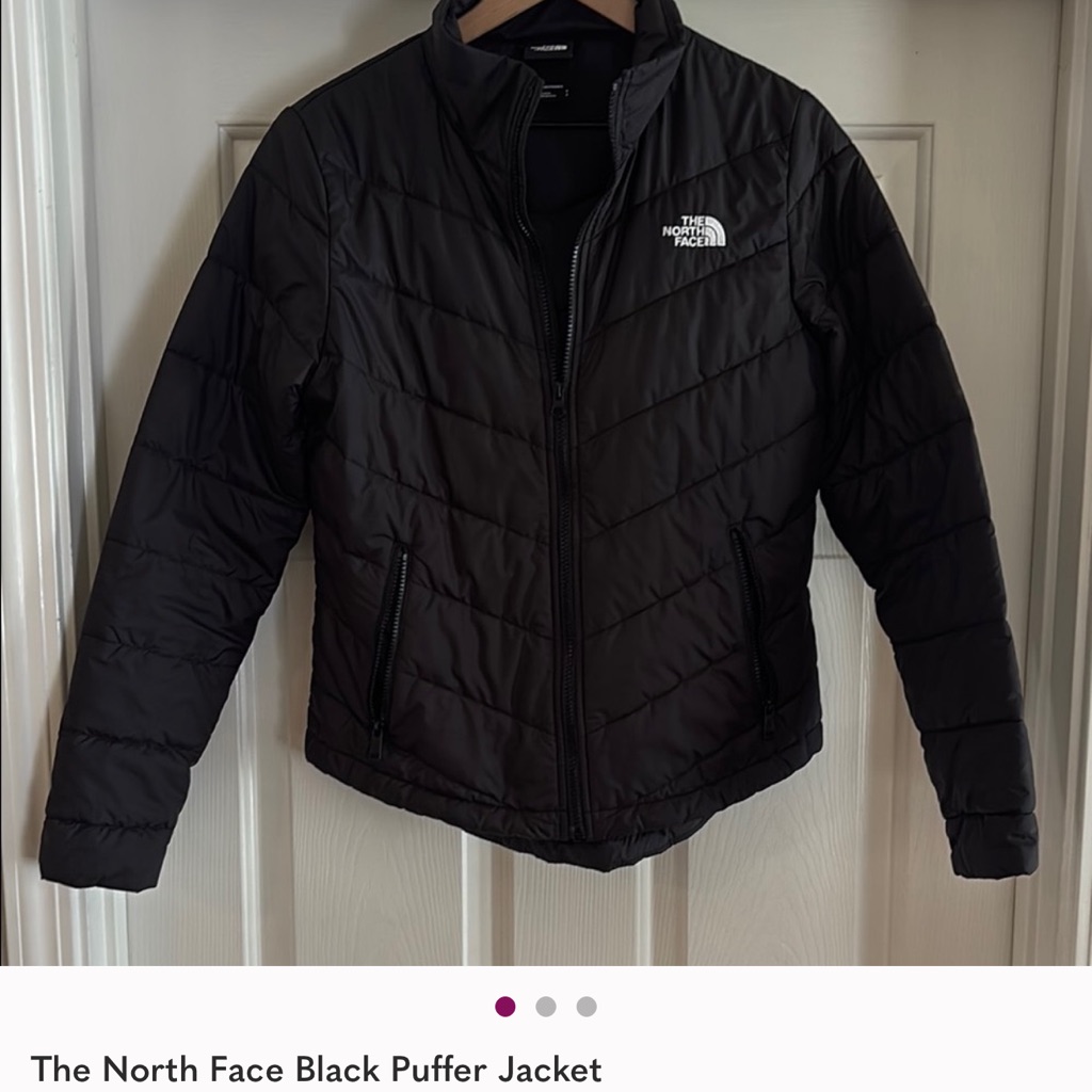 The North Face Quilted Black Puffer Jacket